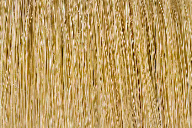 DETAIL BRUSHES