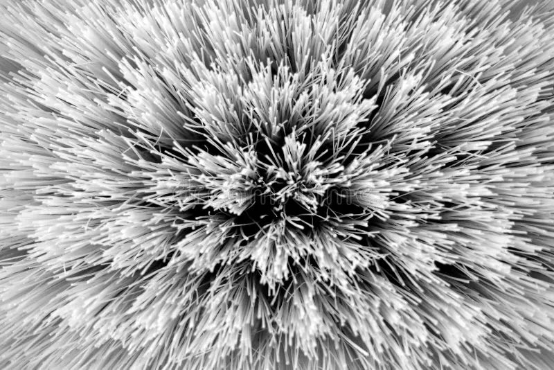 STICK BRUSHES