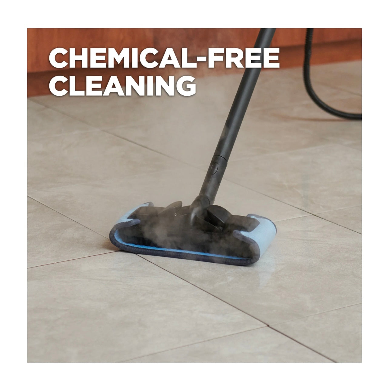 WAGNER® - 915E Power Steamer